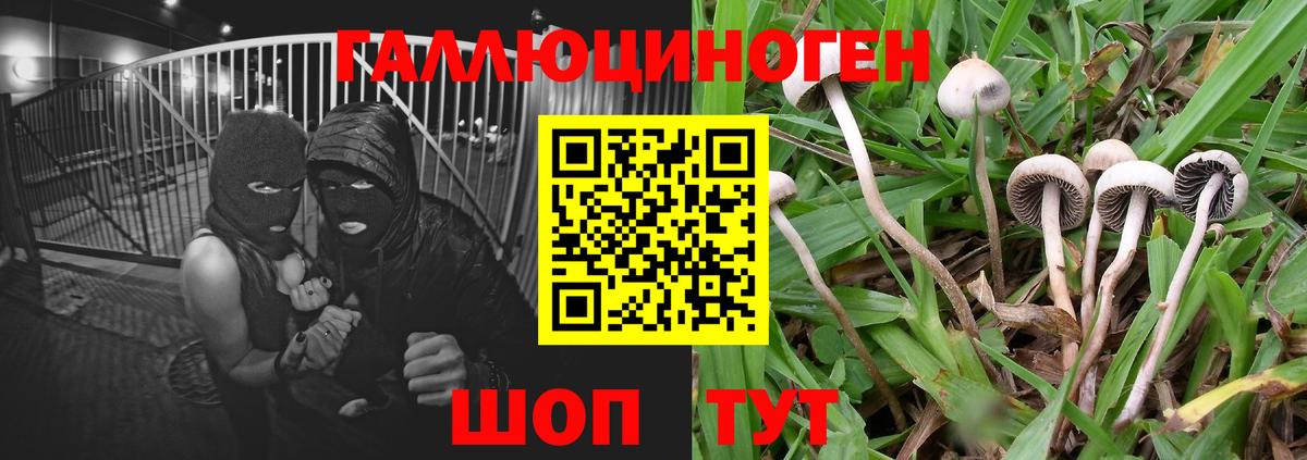 Вязники  дарнет шоп  Вход с VPN  Галлюциногенные грибы MAGIC MUSHROOMS  Галлюциногенные грибы ЛСД 